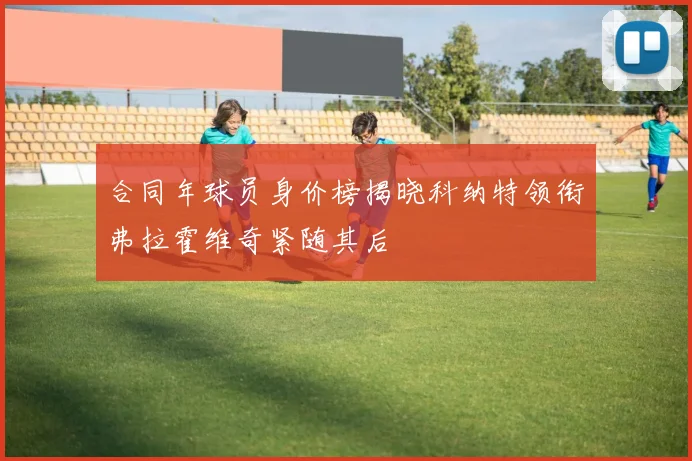 合同年球员身价榜揭晓科纳特领衔弗拉霍维奇紧随其后