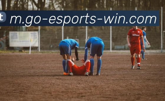 电竞下注平台APP 封面图